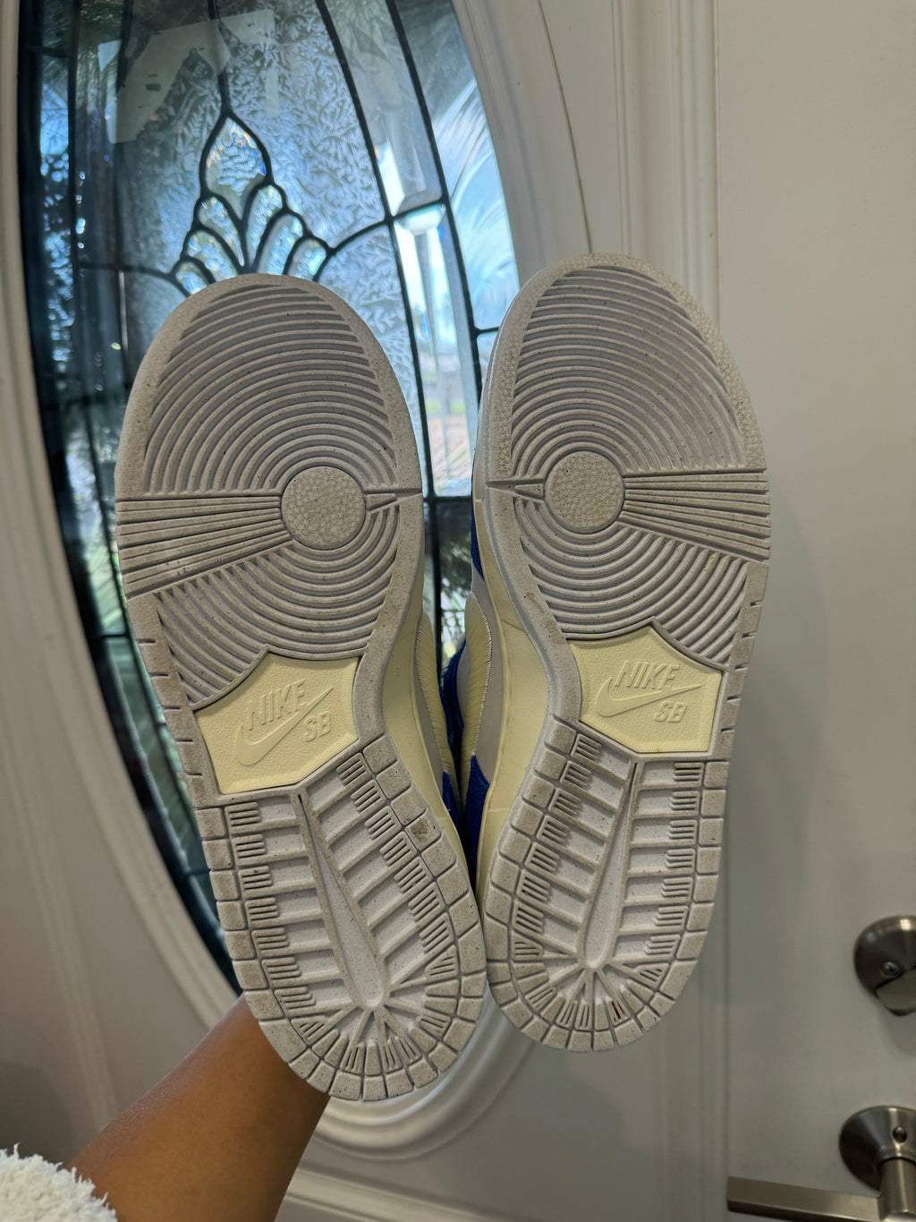 Nike Dunk Low SB Fly Streetwear *