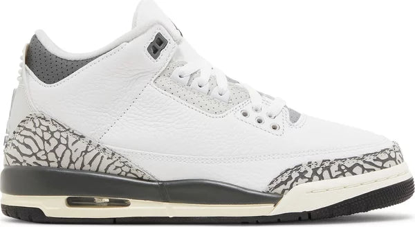 Air Jordan 3 Hide & Sneak