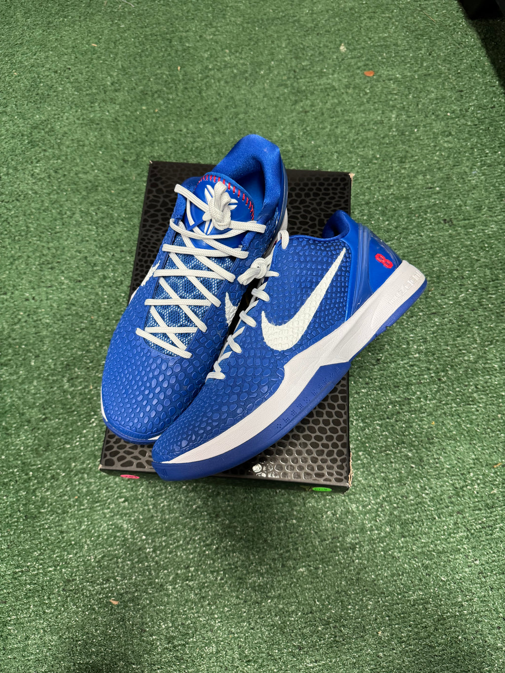 12m- Kobe 6 Protro Dodgers