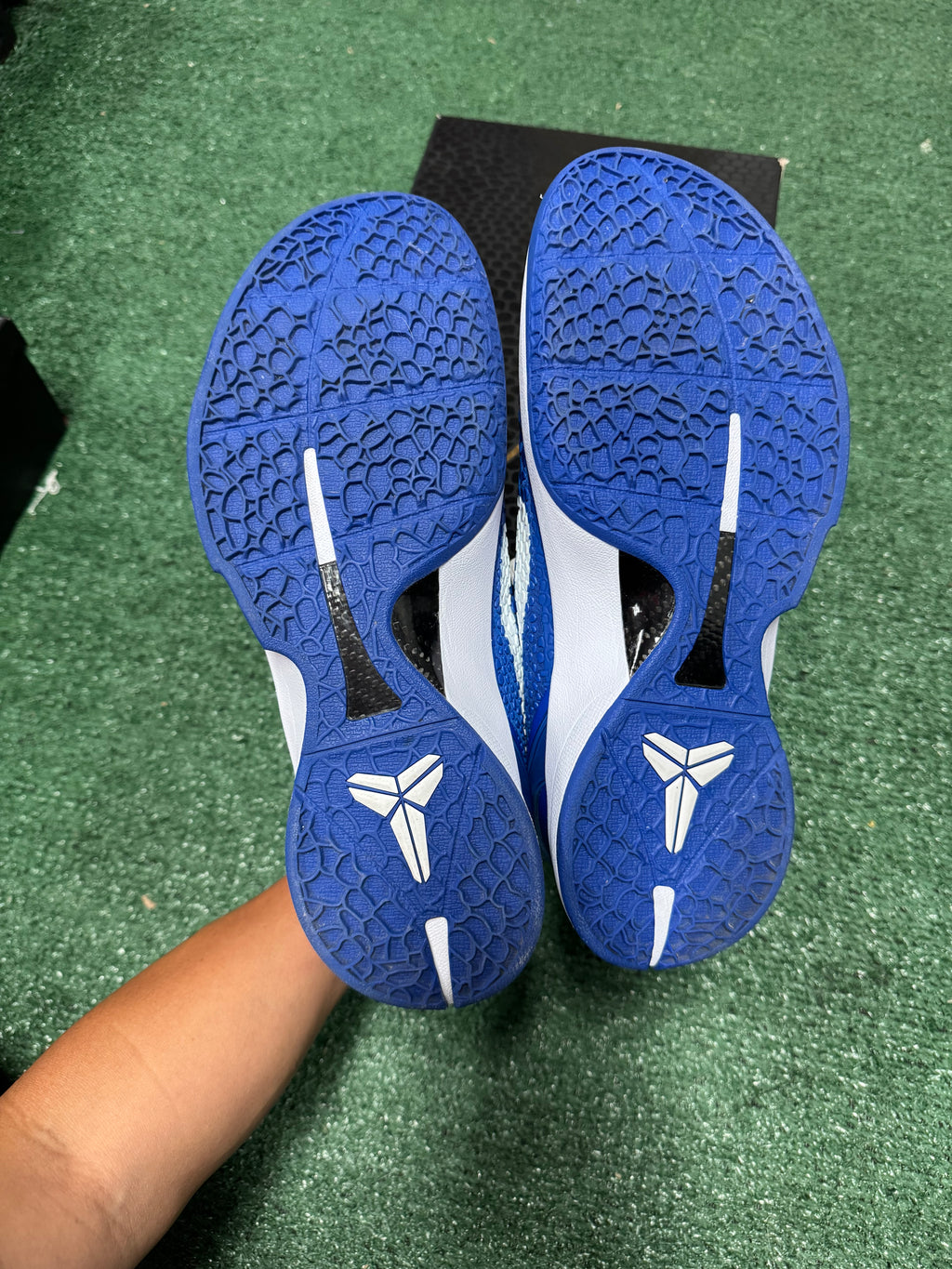 12m- Kobe 6 Protro Dodgers