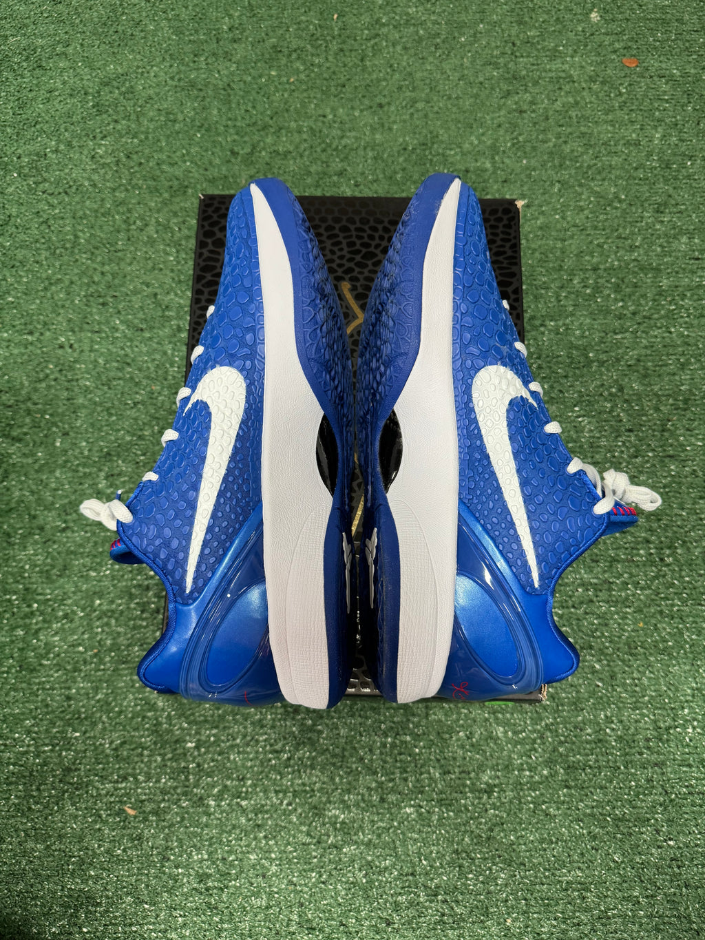 12m- Kobe 6 Protro Dodgers