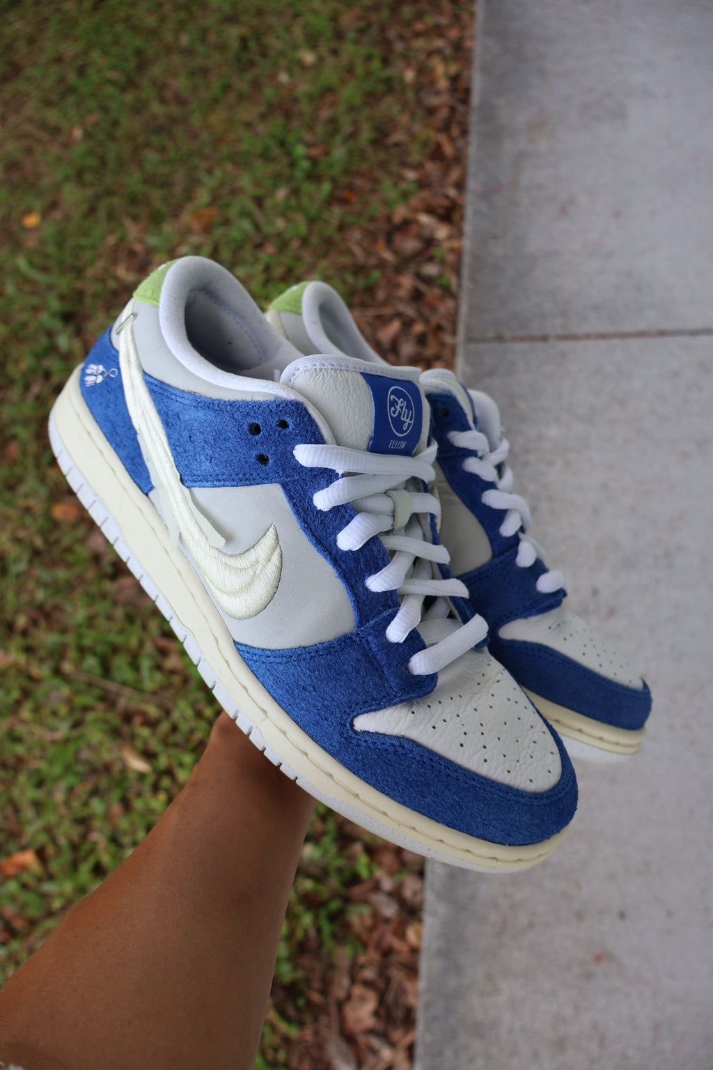 Nike Dunk Low SB Fly Streetwear *