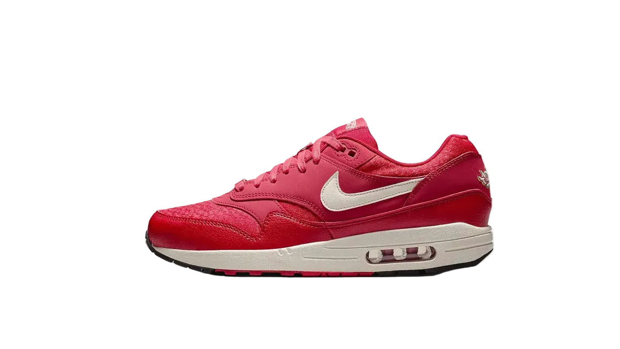 Nike Air Max 1 Texas Rangers