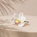 Pua Pick- White Cymbidium Orchid